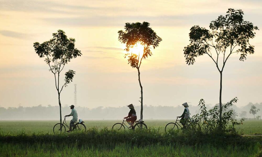 Climate Policy In Indonesia: An Unending Progress For The Future Generation